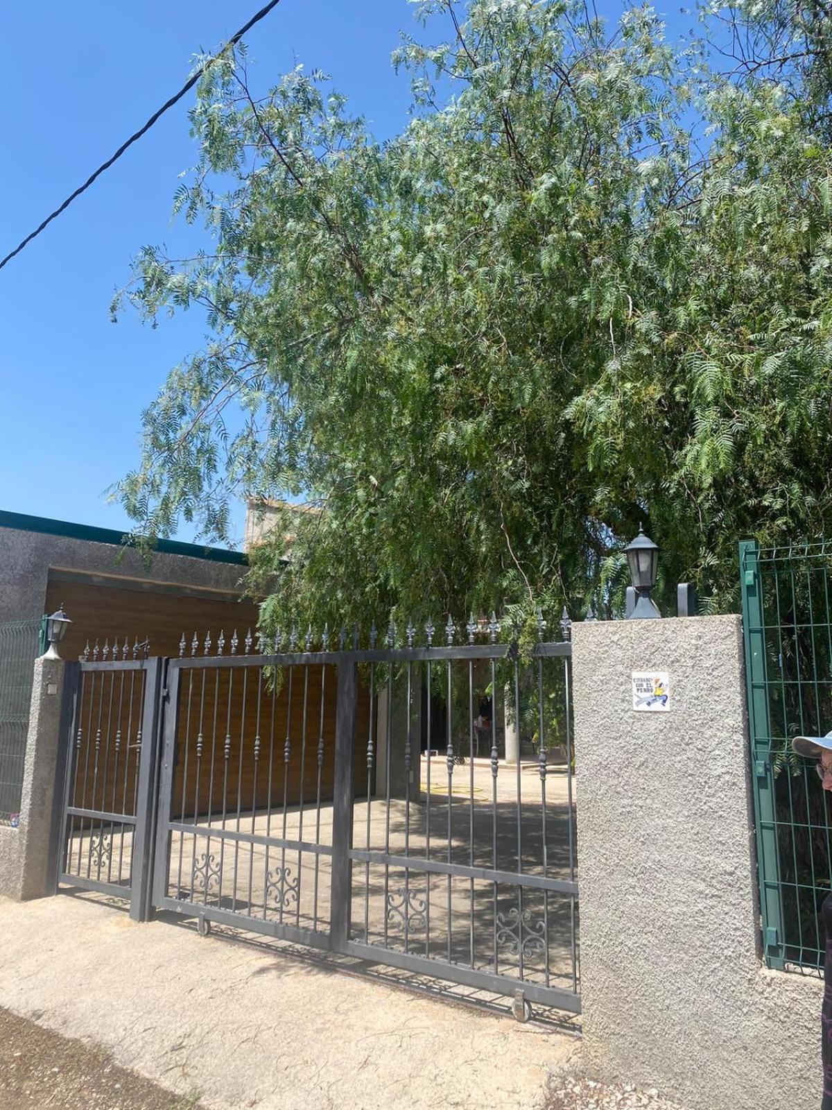 Los Almendros Torrenostra Eksteriør billede